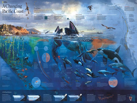 Pacific Coast by National Geographic – 1000 Piece Jigsaw Puzzle (New York Puzzle Company)