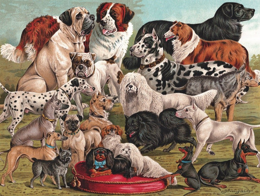 New York Puzzle Company - Dog Breeds - 1000 Piece Jigsaw Puzzle