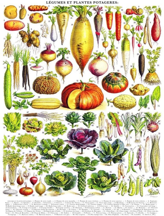 New York Puzzle Company - Vintage Images - Vegetables - 1000 Piece Jigsaw Puzzle