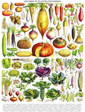 Vegetables by Vintage Images – 1000 Piece Jigsaw Puzzle (New York Puzzle Company)