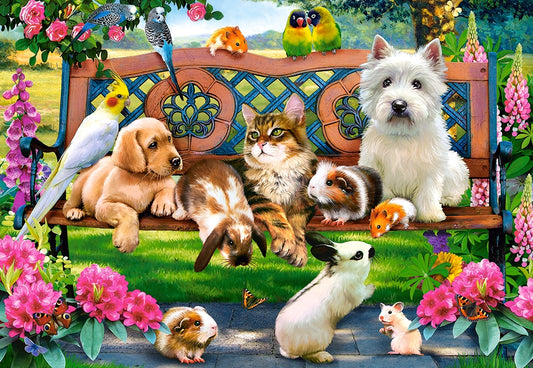 Castorland - Pets in the Park - 1000 Piece Jigsaw Puzzle