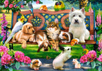 Pets in the Park – 1000 Piece Jigsaw Puzzle (Castorland)