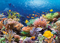 Coral Reef – 1000 Piece Jigsaw Puzzle (Castorland)