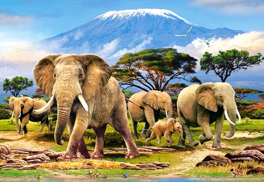 Castorland - Kilimanjaro Morning - 1000 Piece Jigsaw Puzzle – 🧩 Puzzles ...