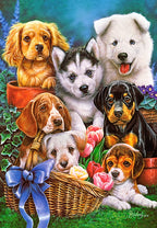 Puppies – 1000 Piece Jigsaw Puzzle (Castorland)