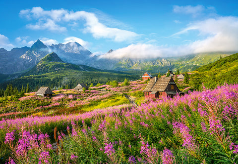 Tatras, Poland – 1000 Piece Jigsaw Puzzle (Castorland)