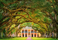 Oak Alley Plantation – 1000 Piece Jigsaw Puzzle (Castorland)