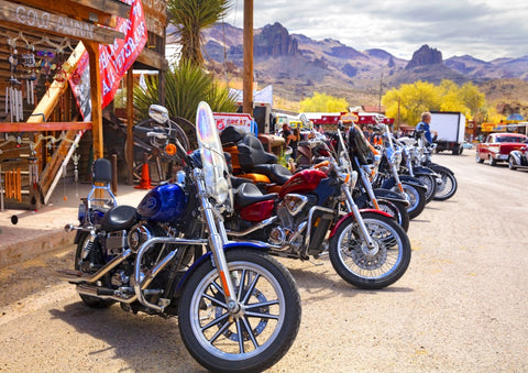 Rt 66 Fun Run Oatman Motorcycles 4-16 8377 – 1000 Piece Jigsaw Puzzle (Bluebird Puzzle)