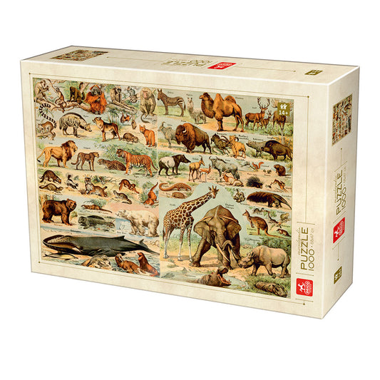Dtoys - Encyclopedia Wild Animals - 1000 Piece Jigsaw Puzzle