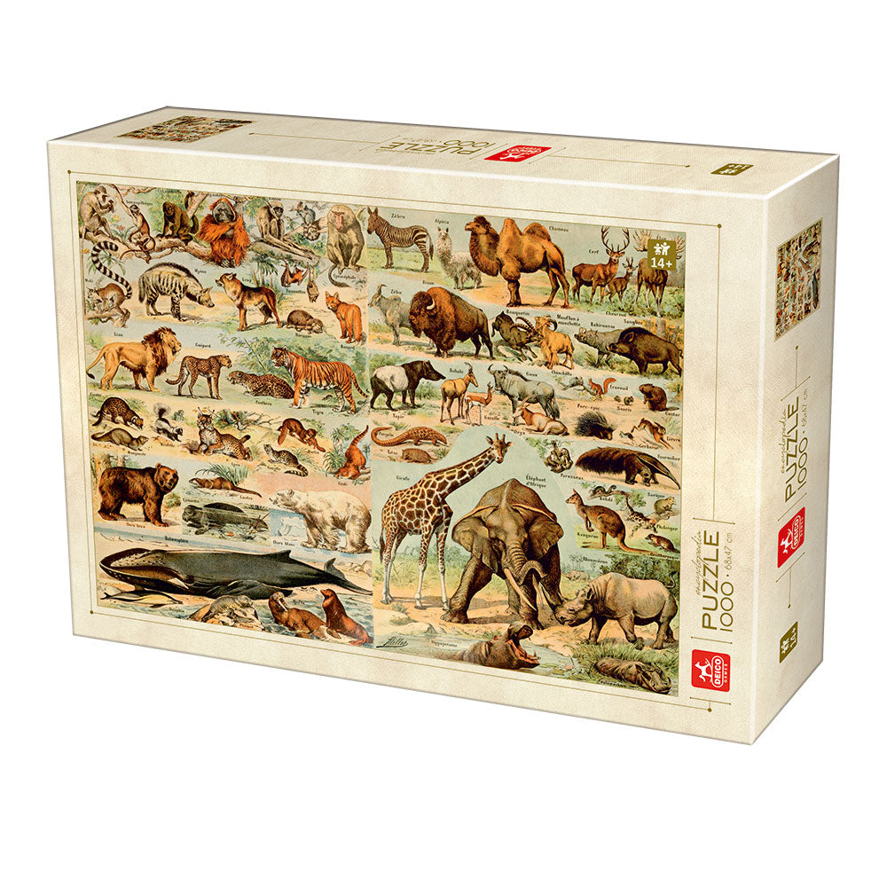 Encyclopedia Wild Animals – 1000 Piece Jigsaw Puzzle (Dtoys)