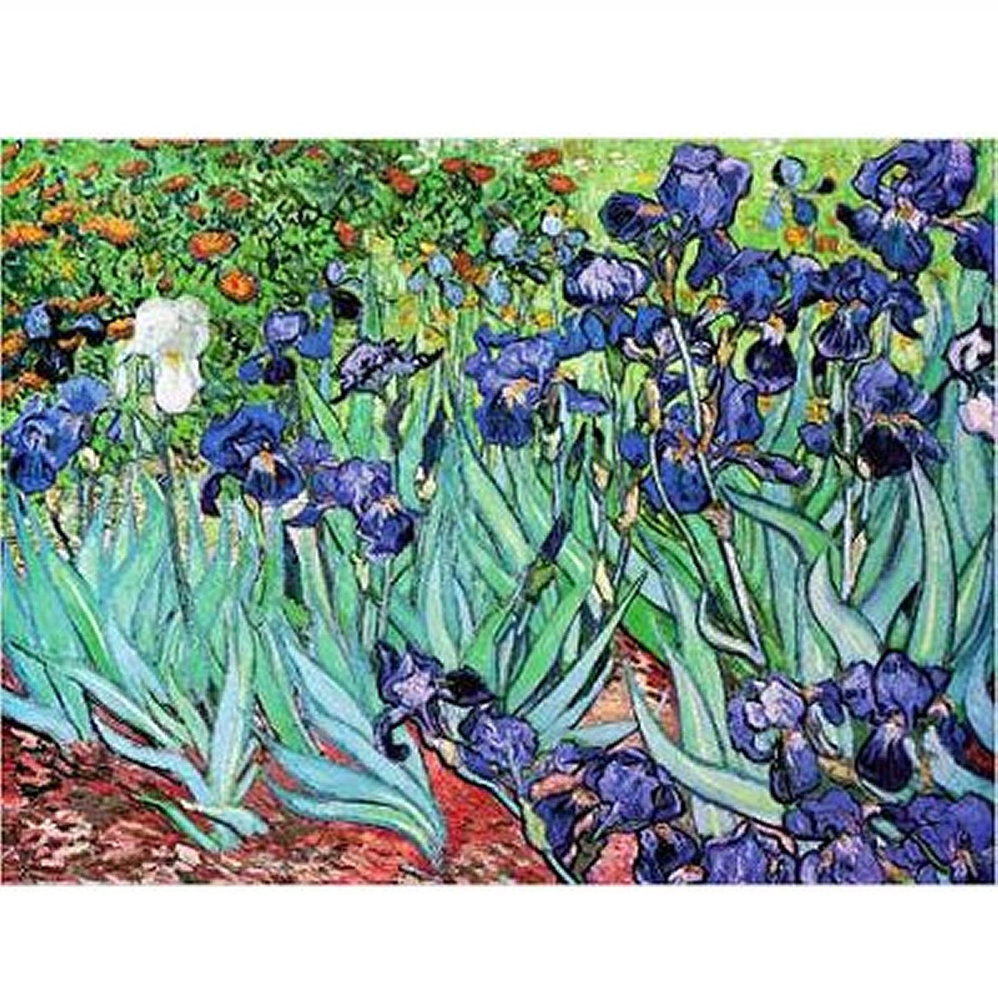 Dtoys - Van Gogh : Iris - 1000 Piece Jigsaw Puzzle