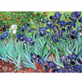 Iris by Van Gogh – 1000 Piece Jigsaw Puzzle (Dtoys)