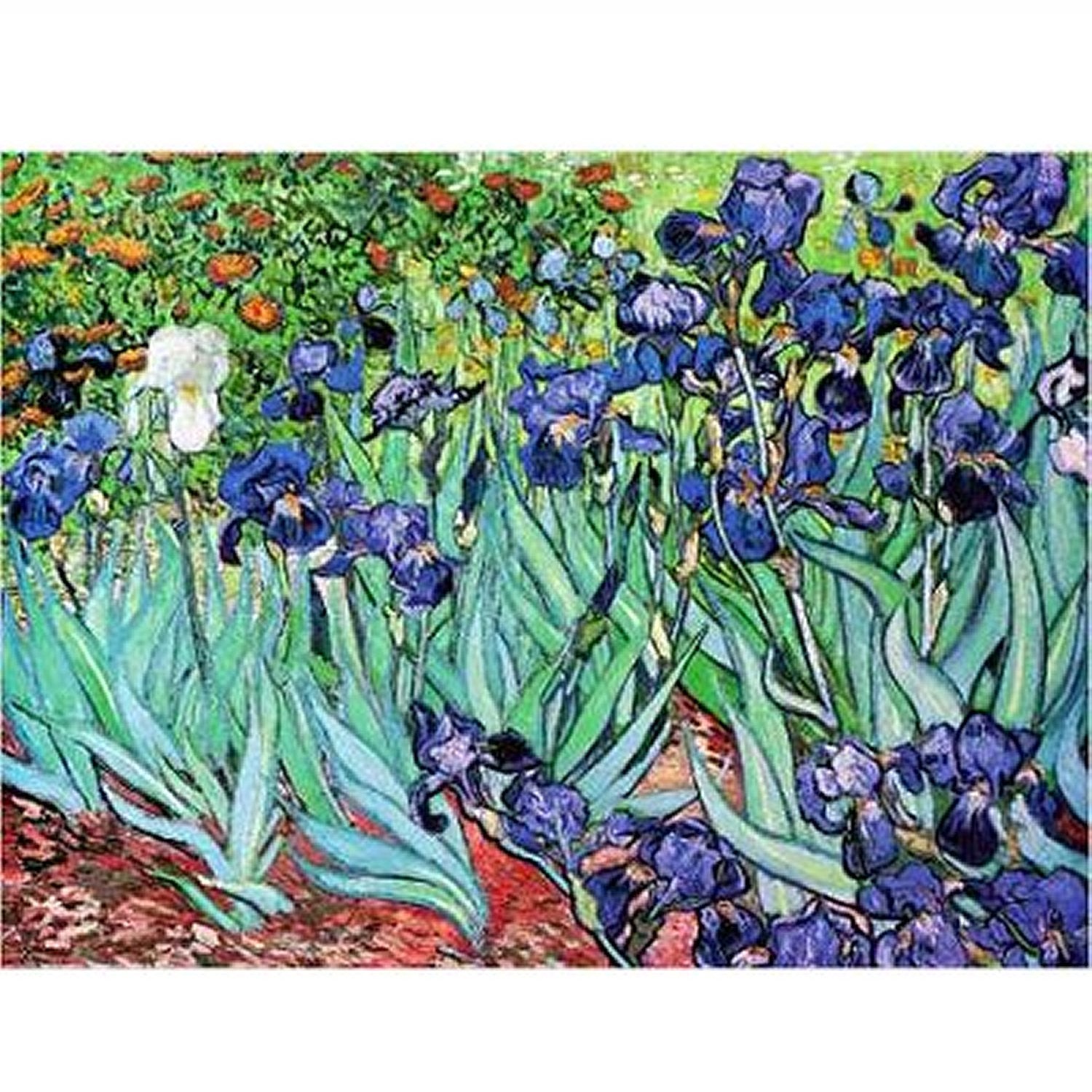 Iris by Van Gogh – 1000 Piece Jigsaw Puzzle (Dtoys)