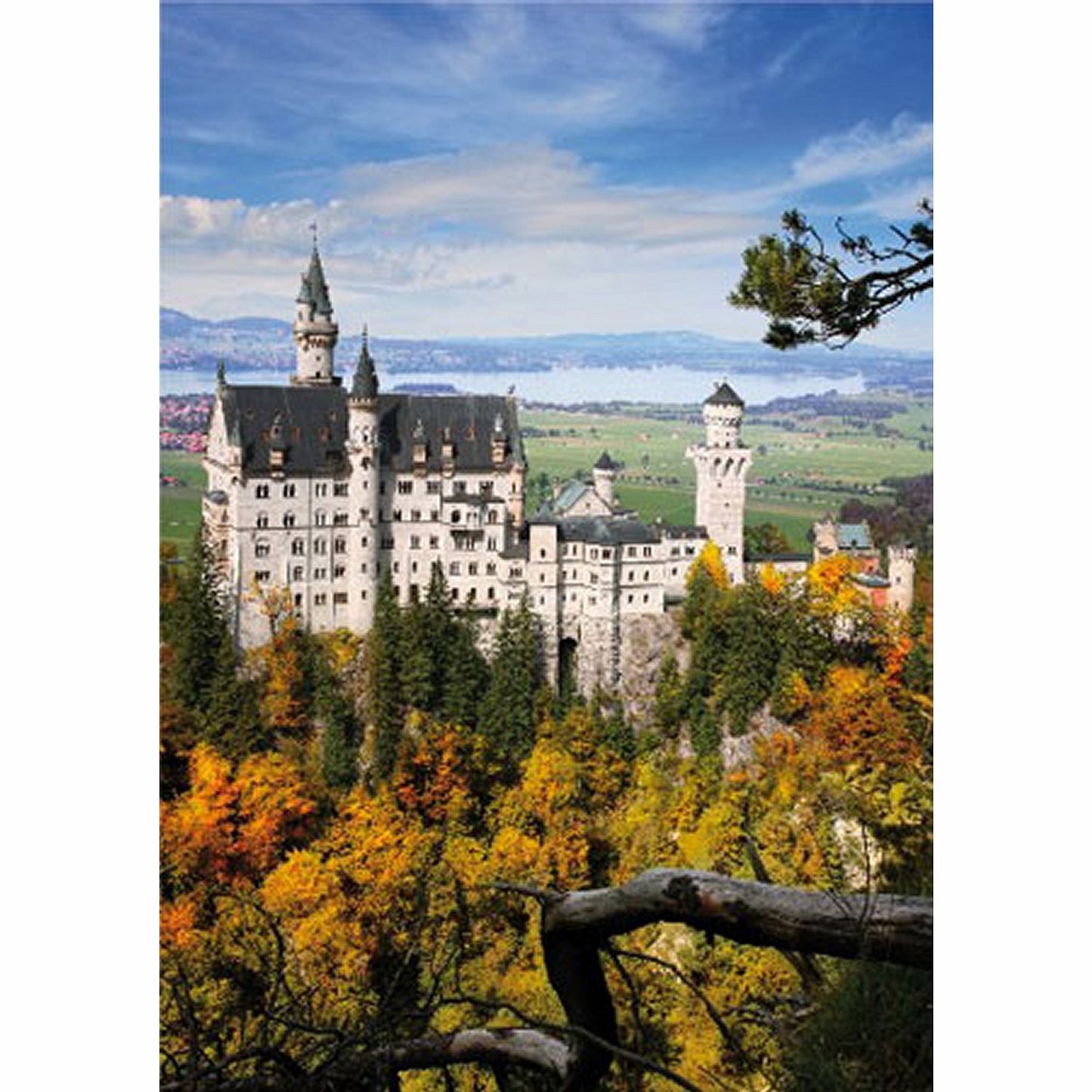 Dtoys - Landscapes : Neuschwansstein Castle - 1000 Piece Jigsaw Puzzle