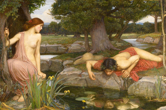 Dtoys - Waterhouse John William: Echo and Narcissus - 1000 Piece Jigsaw Puzzle