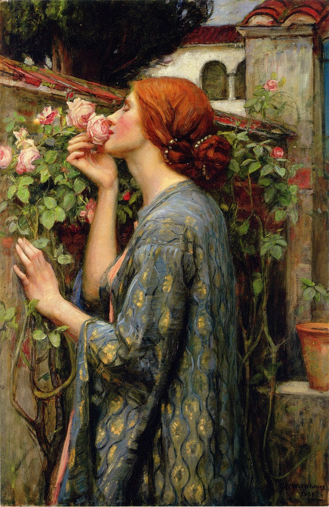 Dtoys - Waterhouse John William: The Soul of the Rose - 1000 Piece Jigsaw Puzzle
