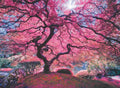 Pink Tree – 1000 Piece Jigsaw Puzzle (Anatolian)