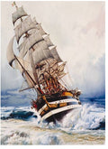 Black Pearl – 1000 Piece Jigsaw Puzzle (Anatolian)