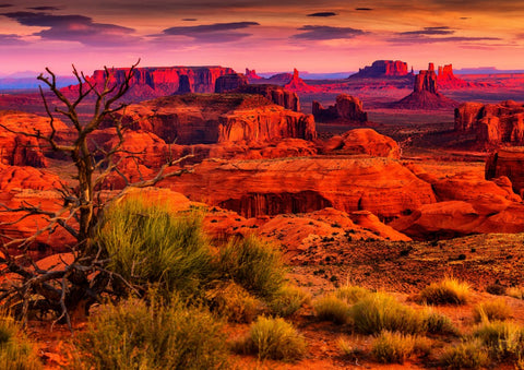 Monument Valley – 1500 Piece Jigsaw Puzzle (Bluebird Puzzle)