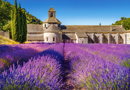 Castorland - Provence, France - 1000 Piece Jigsaw Puzzle