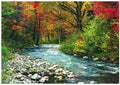 Forest Stream – 1000 Piece Jigsaw Puzzle (Eurographics)