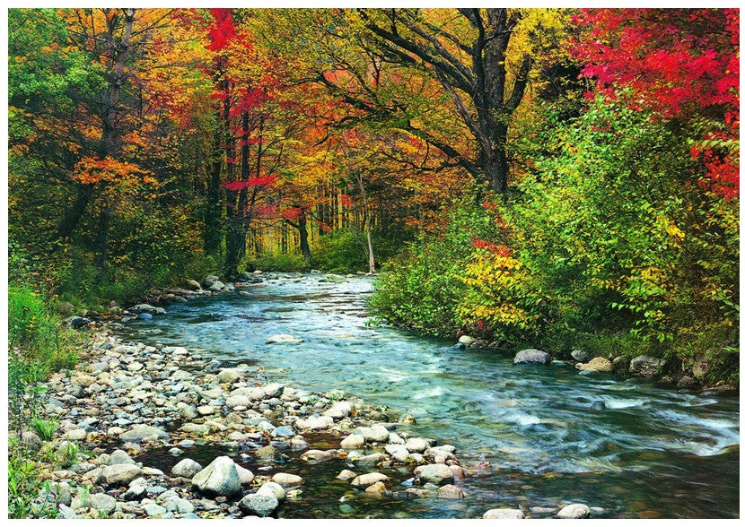 Forest Stream – 1000 Piece Jigsaw Puzzle (Eurographics)