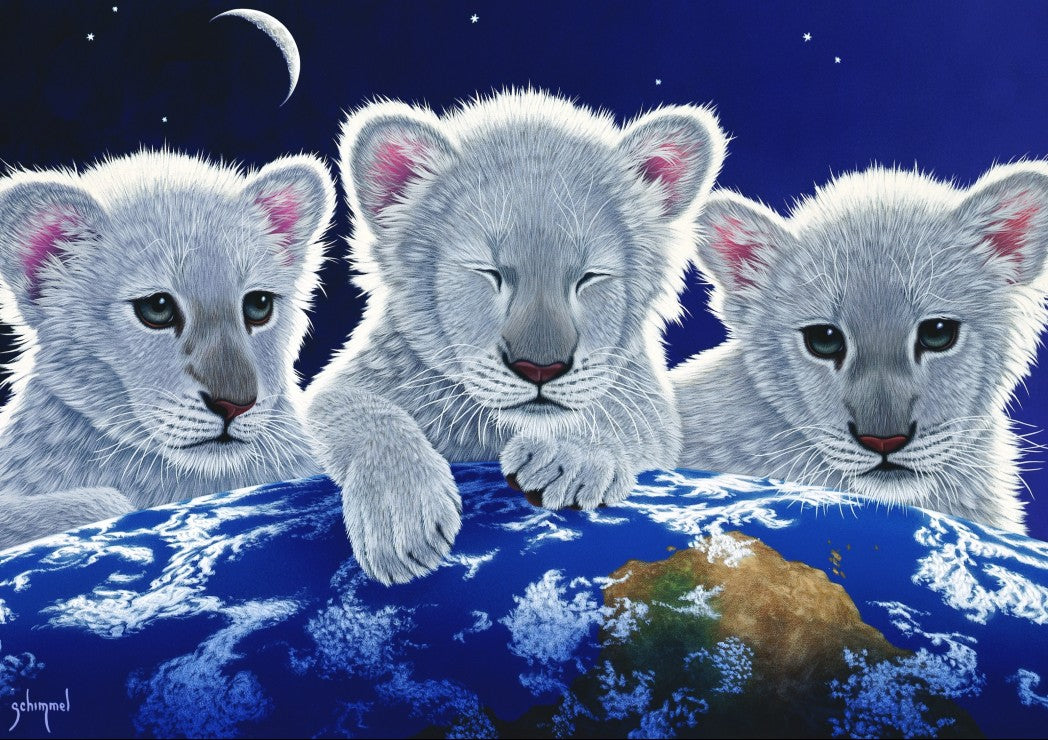 Secret, Mystery and Hope by Schim Schimmel – 1500 Piece Jigsaw Puzzle (Grafika)