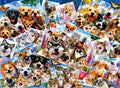 Selfie Pet Collage – 2000 Piece Jigsaw Puzzle (Anatolian)