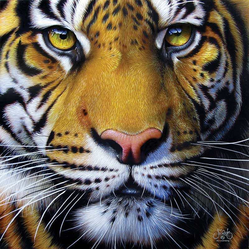 Golden Tiger Face by Jurek – 1000 Piece Jigsaw Puzzle (SunsOut)