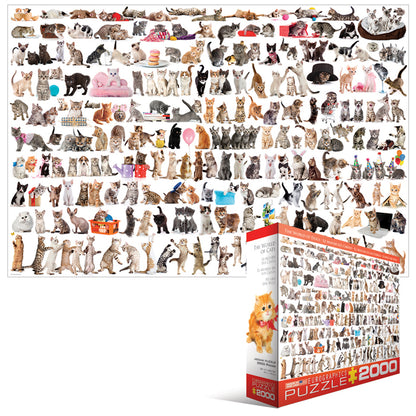 Eurographics - The World of Cats - 2000 Piece Jigsaw Puzzle