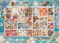 Seashell Collection – 1000 Piece Jigsaw Puzzle (Eurographics)