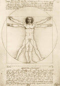 The Vitruvian Man, 1490 by Leonardo Da Vinci – 1000 Piece Jigsaw Puzzle (Bluebird Puzzle)