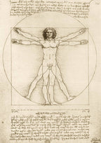 The Vitruvian Man, 1490 by Leonardo Da Vinci – 1000 Piece Jigsaw Puzzle (Bluebird Puzzle)