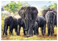 African Elephants – 1000 Piece Jigsaw Puzzle (Trefl)