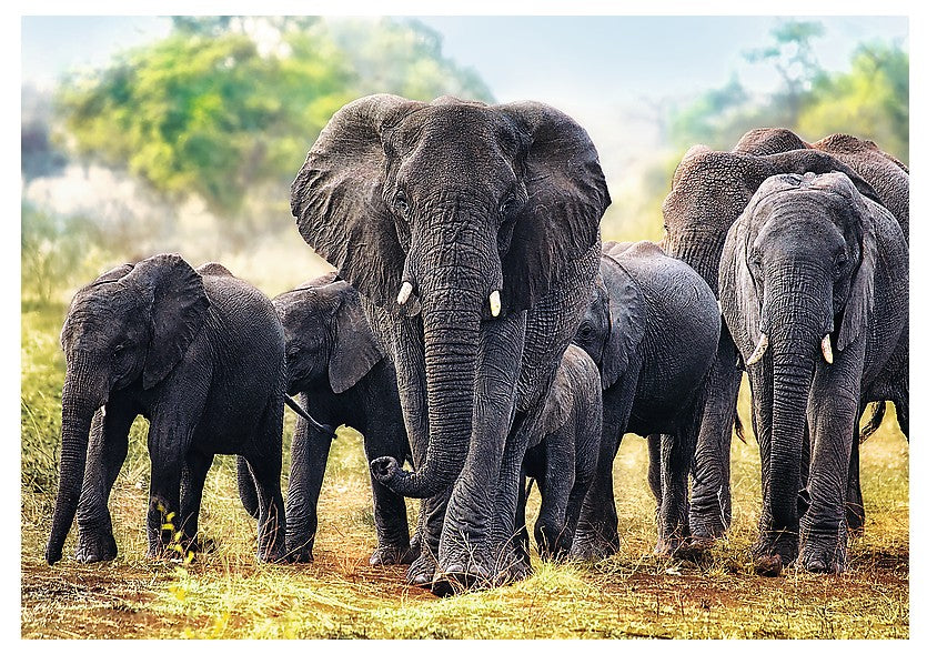 African Elephants – 1000 Piece Jigsaw Puzzle (Trefl)