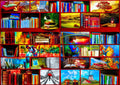 The Library The Travel Section – 1000 Piece Jigsaw Puzzle (Bluebird Puzzle)