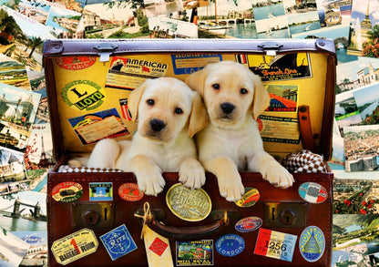 Bluebird Puzzle - Two Travel Puppies - 1000 Piece Jigsaw Puzzle