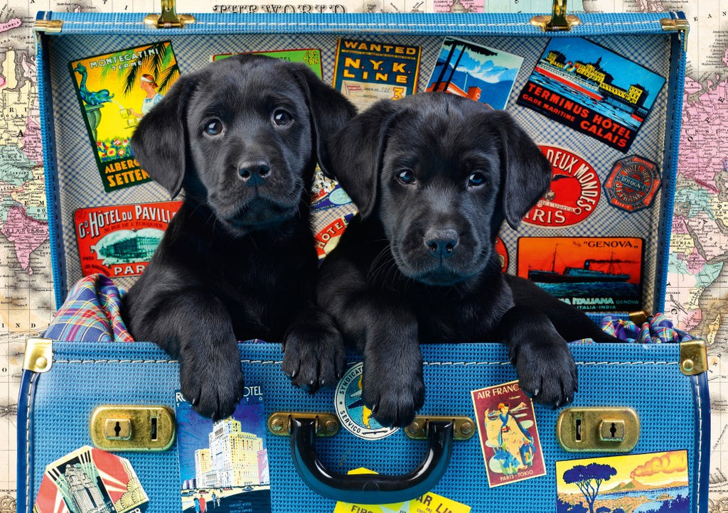 Travel Labs – 1000 Piece Jigsaw Puzzle (Bluebird Puzzle)