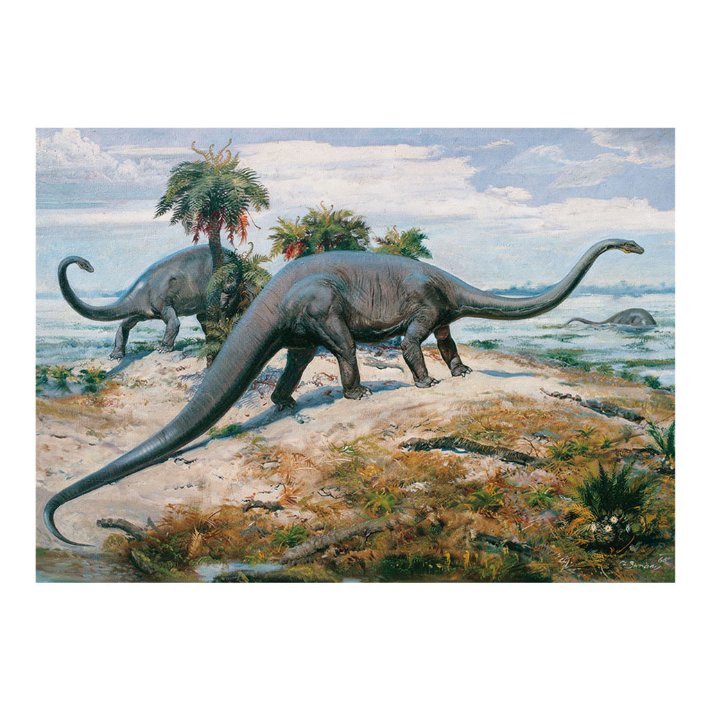 Dinosaurs – 1000 Piece Jigsaw Puzzle (Dino)