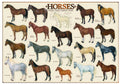 Horses – 1000 Piece Jigsaw Puzzle (Eurographics)