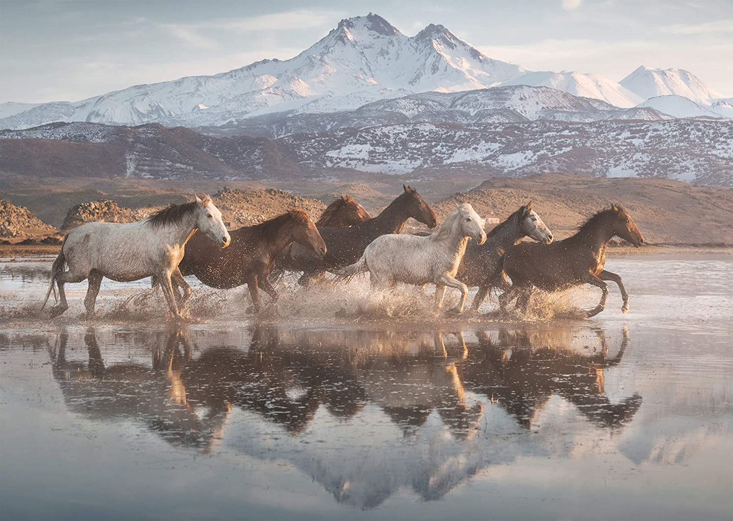Schmidt - Horses in Cappadocia - 1000 Piece Jigsaw Puzzle