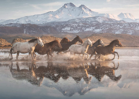 Horses in Cappadocia – 1000 Piece Jigsaw Puzzle (Schmidt)
