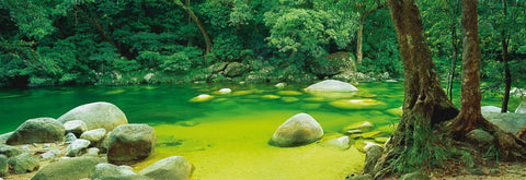 Australia, Mossman Gorge, Queensland by Mark Gray – 1000 Piece Jigsaw Puzzle (Schmidt)
