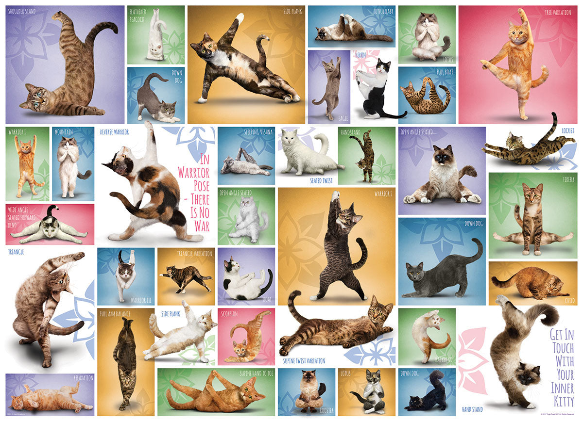 Eurographics- Yoga Cats - 1000 piece jigsaw puzzle