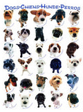 Dogs – 1000 Piece Jigsaw Puzzle (Eurographics)