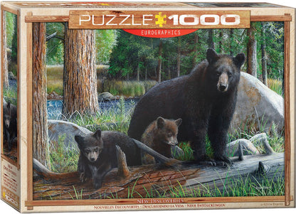 Eurographics - New Discoveries - 1000 piece jigsaw puzzle