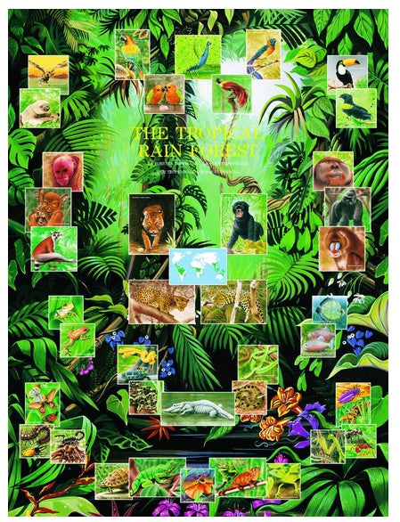 Eurographics 6000-2790 The Tropical Rain Forest - 1000 Piece Jigsaw Puzzle