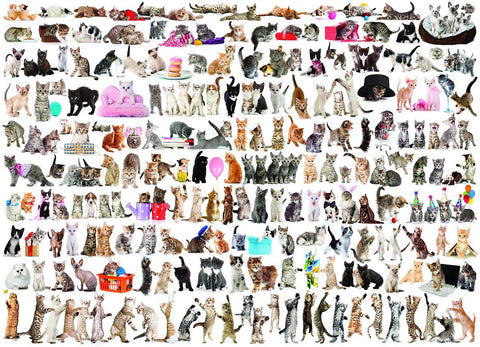 The World of Cats – 1000 Piece Jigsaw Puzzle (Eurographics)