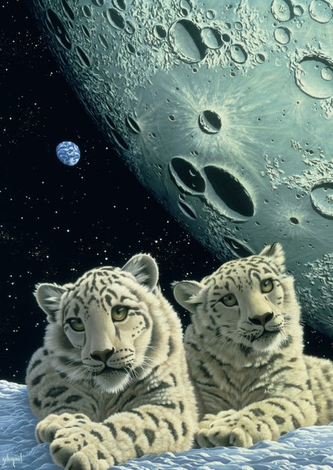 Lair of the Snow Leopard by Schim Schimmel – 1000 Piece Jigsaw Puzzle (Grafika)