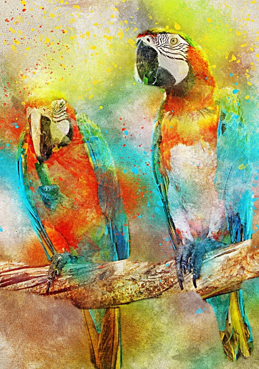 Parrots – 1000 Piece Jigsaw Puzzle (Bluebird Puzzle)